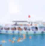 Bangkok - Happy times at Chao Phraya princess Dinner Cruise with private transfers
