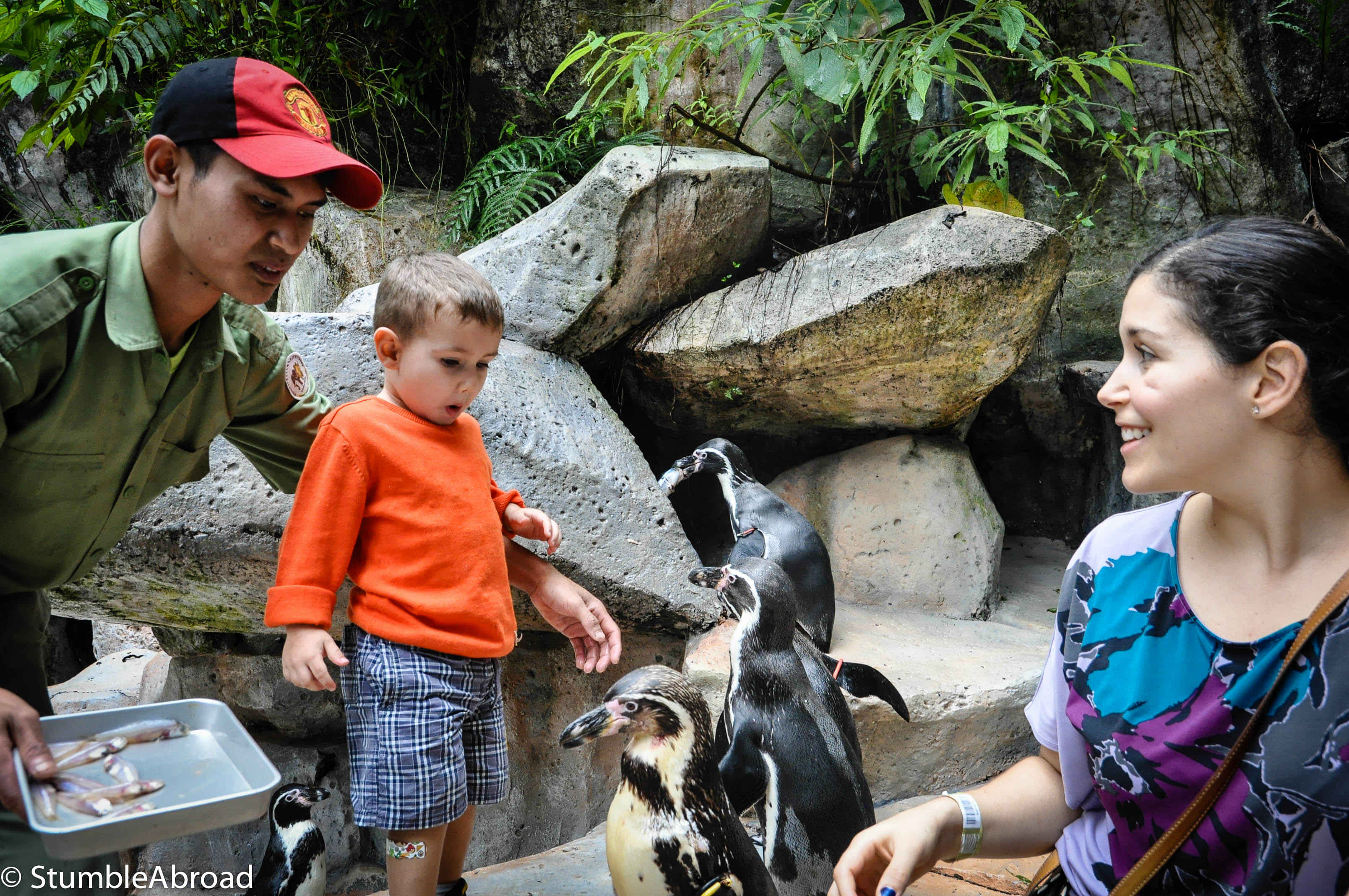 PENGUIN PASSPORT- A ONCE IN A LIFETIME PENGUIN ENCOUNTER