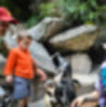 PENGUIN PASSPORT- A ONCE IN A LIFETIME PENGUIN ENCOUNTER