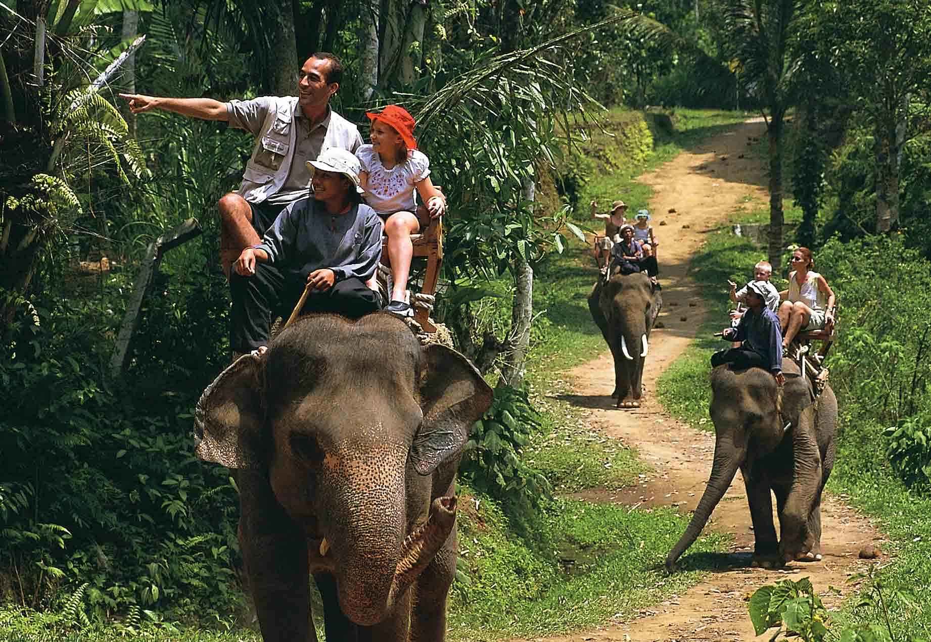 Rafting 5 Km + Elephant Trekking 30 Min + Monkey Cave + Waterfall + ATV 30 Mins