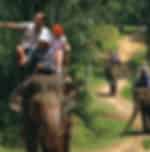 Rafting 5 Km + Elephant Trekking 30 Min + Monkey Cave + Waterfall + ATV 30 Mins