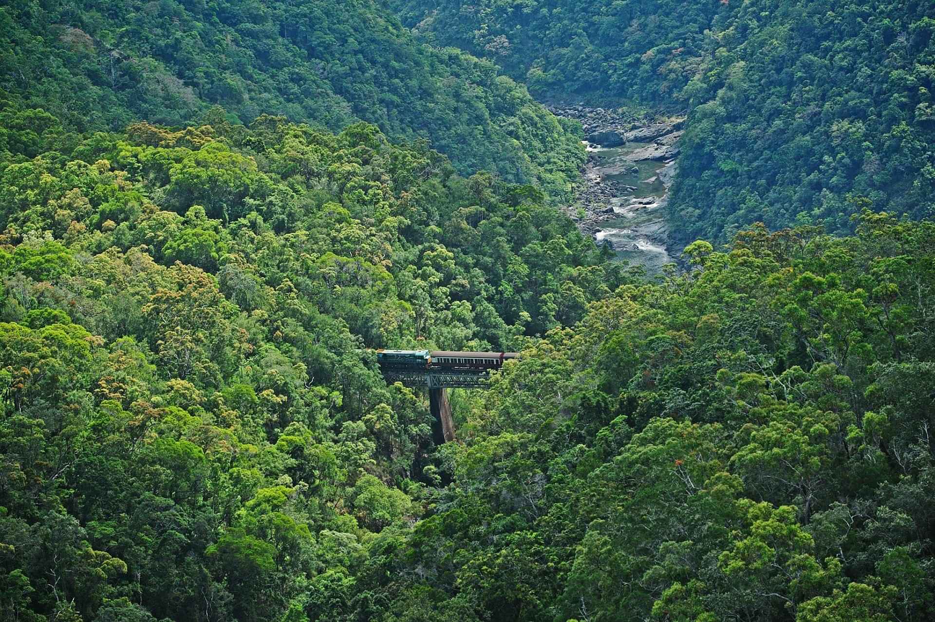 Kuranda Scenic Rail and Skyrail Tour from Cairns