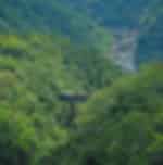 Kuranda Scenic Rail and Skyrail Tour from Cairns