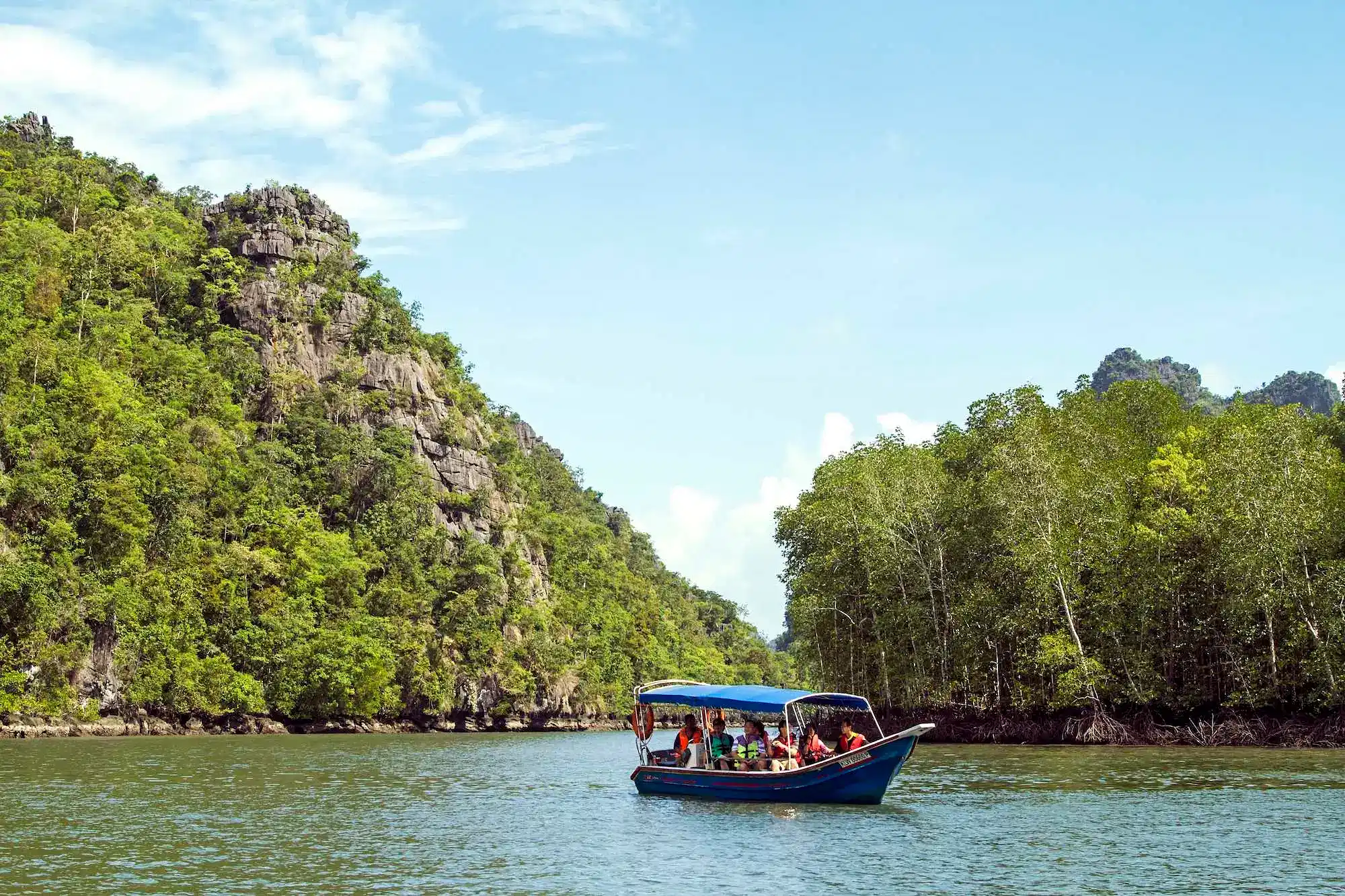 Northern Mangrove Tours with Private Transfers