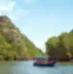Northern Mangrove Tours with Private Transfers