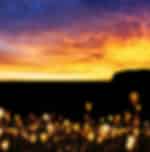 Field of Light- Uluru