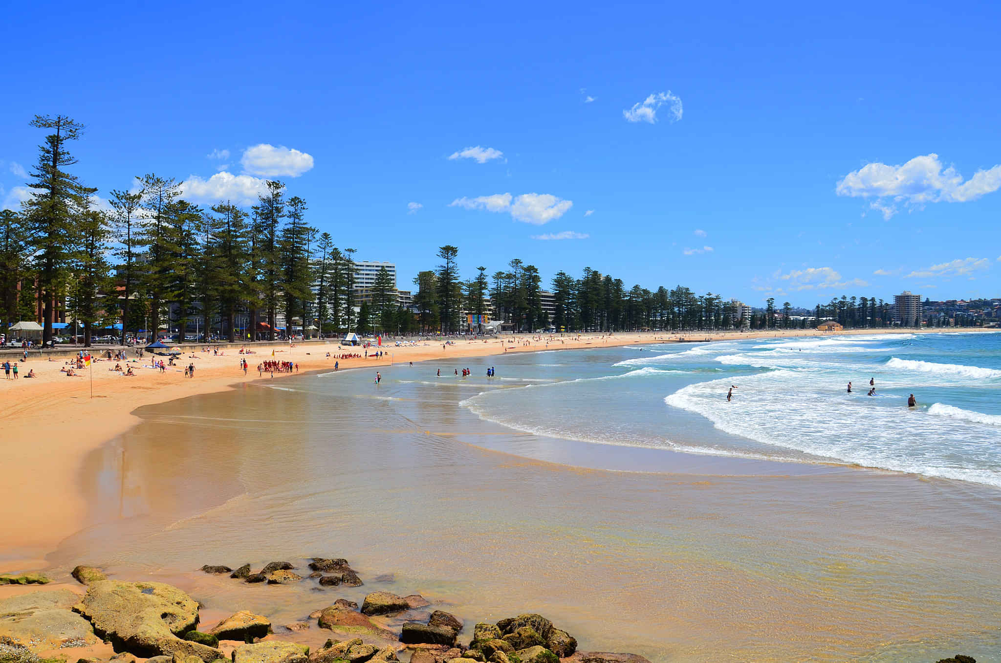 Manly beach 