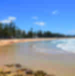 Manly beach