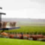 Margaret River Scenic Nature, Food and Wine Tour Including Gourmet Lunch