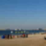 Visit the Marina Beach