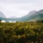 Franschhoek Wine Tram - Orange Line