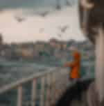 Half Day Afternoon Istanbul Bosphorus Cruise Tour in the afternoon with shared Transfers - Monday Closed