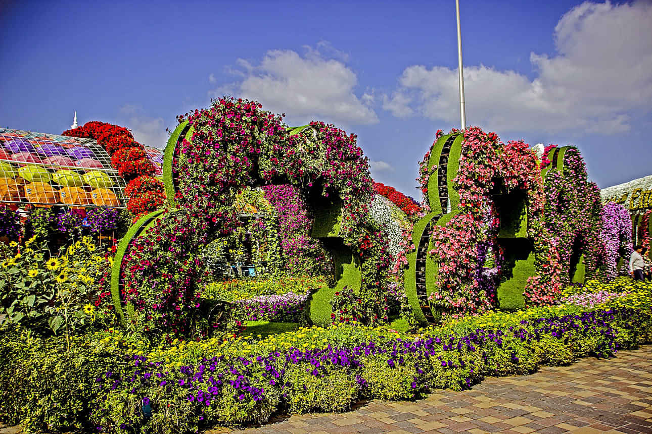 Amazing Dubai with Global Village, Miracle Garden With Shared Transfers