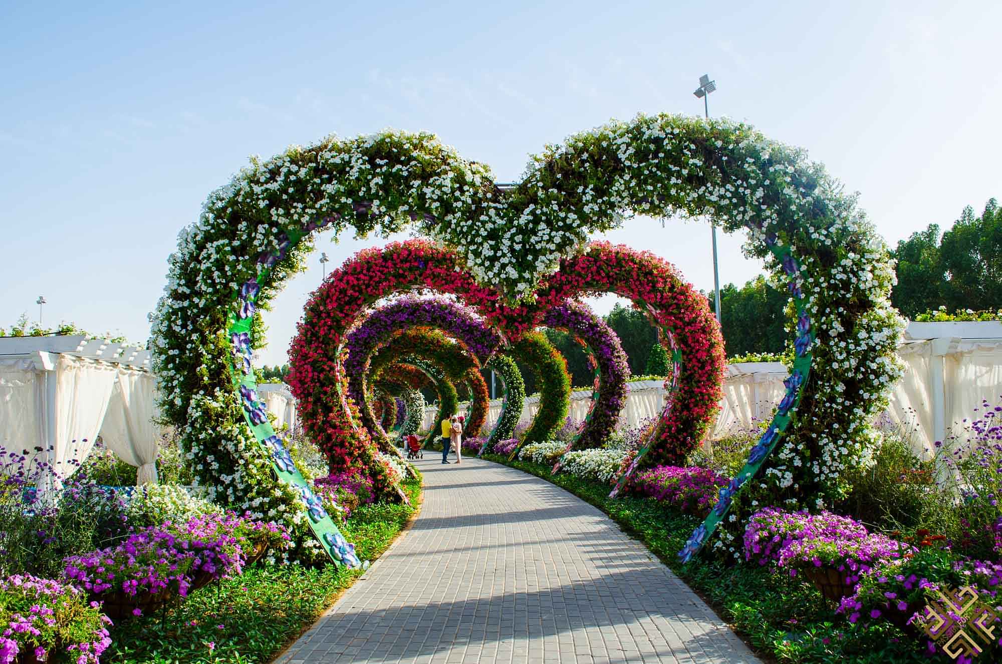 Miracle Garden with Shared Transfers