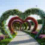 Miracle Garden with Shared Transfers