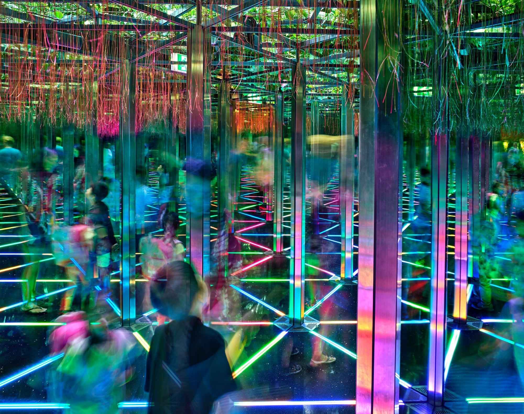 Jewel Changi Airport (Mirror Maze with Canopy Park)