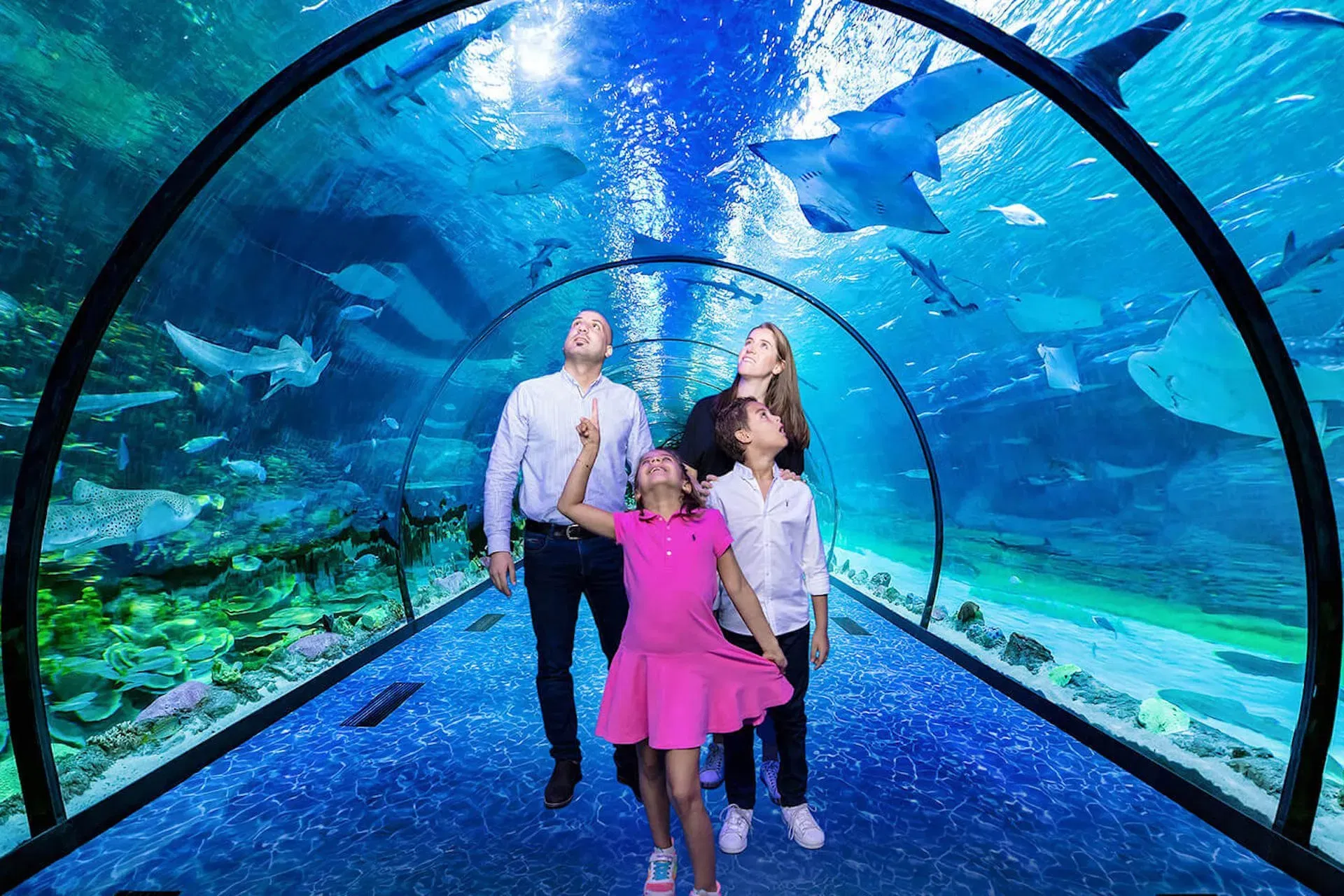 National Aquarium (Bu Tinah Dhow) with Private Transfers