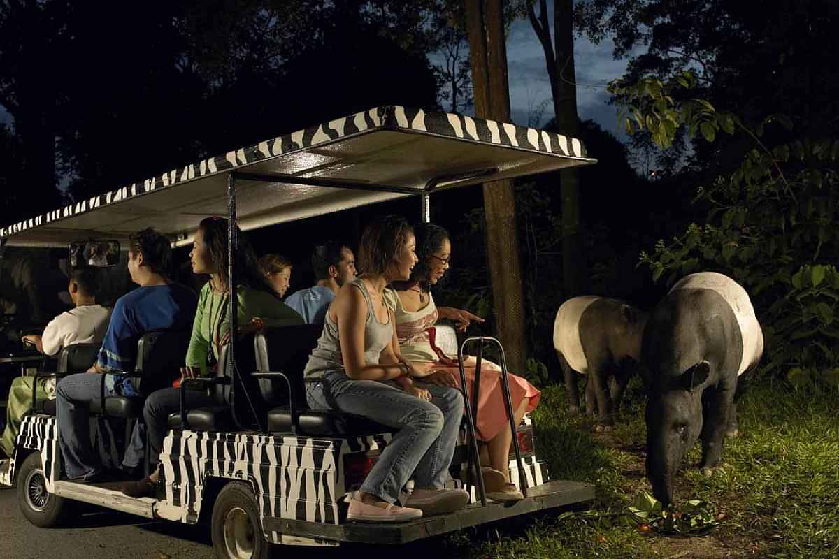 4 in 1 Park hopper with Bird Paradise, River Wonders, Zoo, Night Safari (Admissions, Rides, ARQ Boat Ride) Shared Transfers