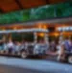 Night Safari (Admission + Tram) - Ticket only