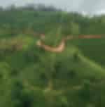 Kandy to Nuwara Eliya, Tea Factory Visit , Gregory Lake.
