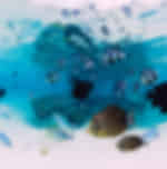 Odyssoe Oceanarium and Submarine With Private Transfers