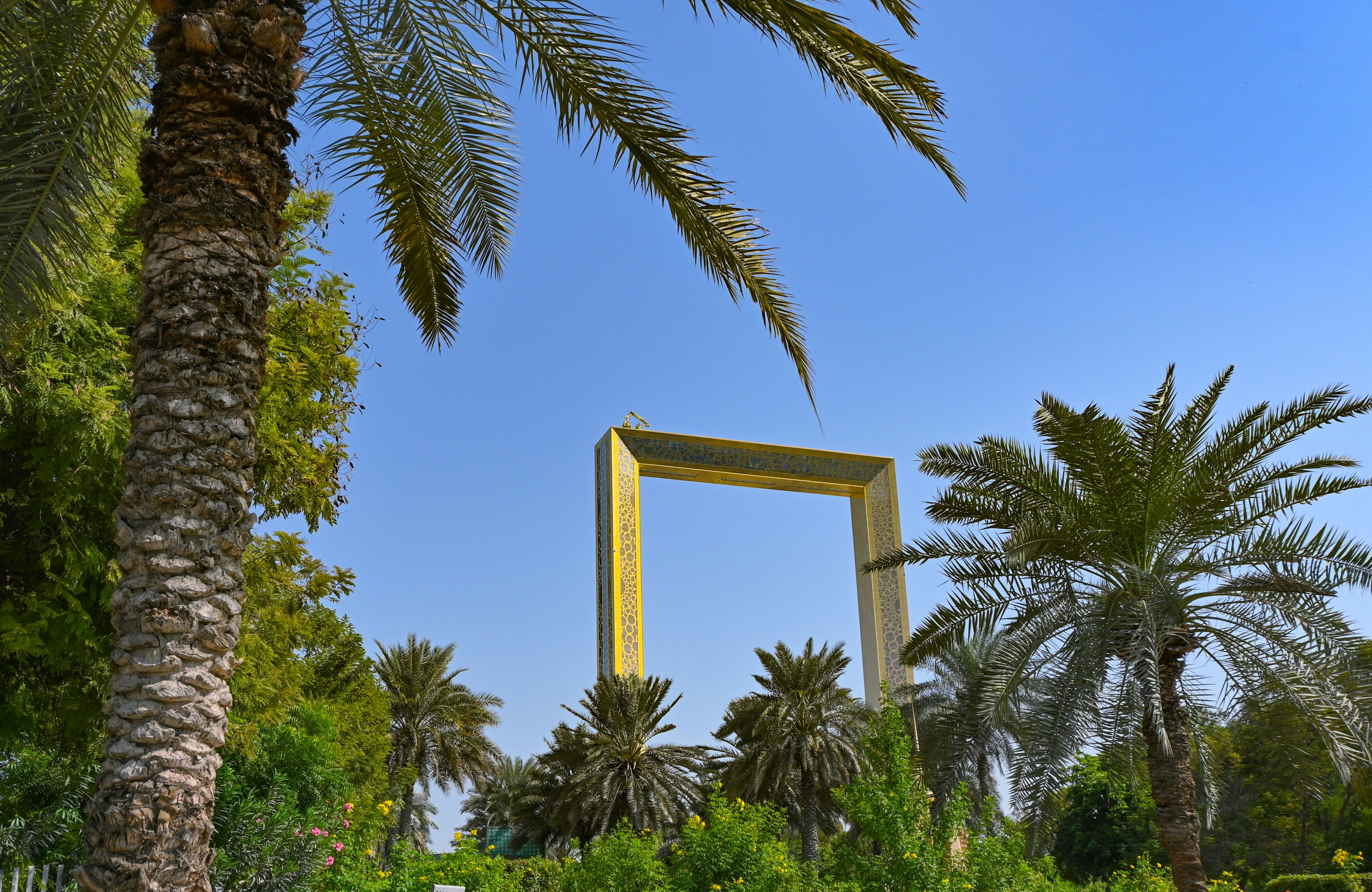 Combo - Dubai Frame , Dolphinarium With Private Transfers