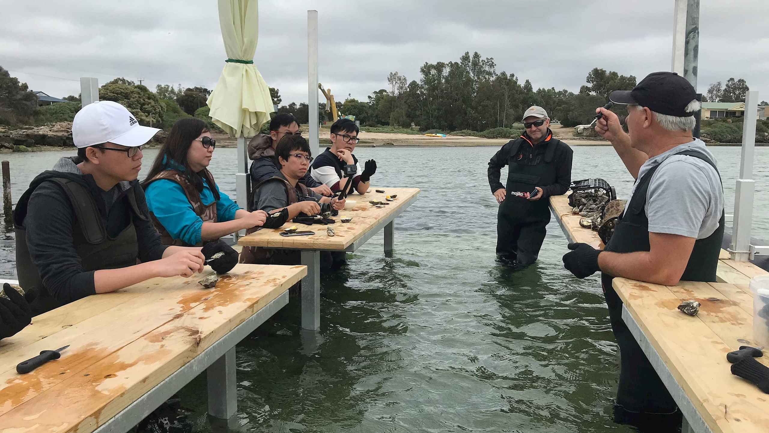 Oyster Farm and Tasting Tour