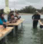 Oyster Farm and Tasting Tour