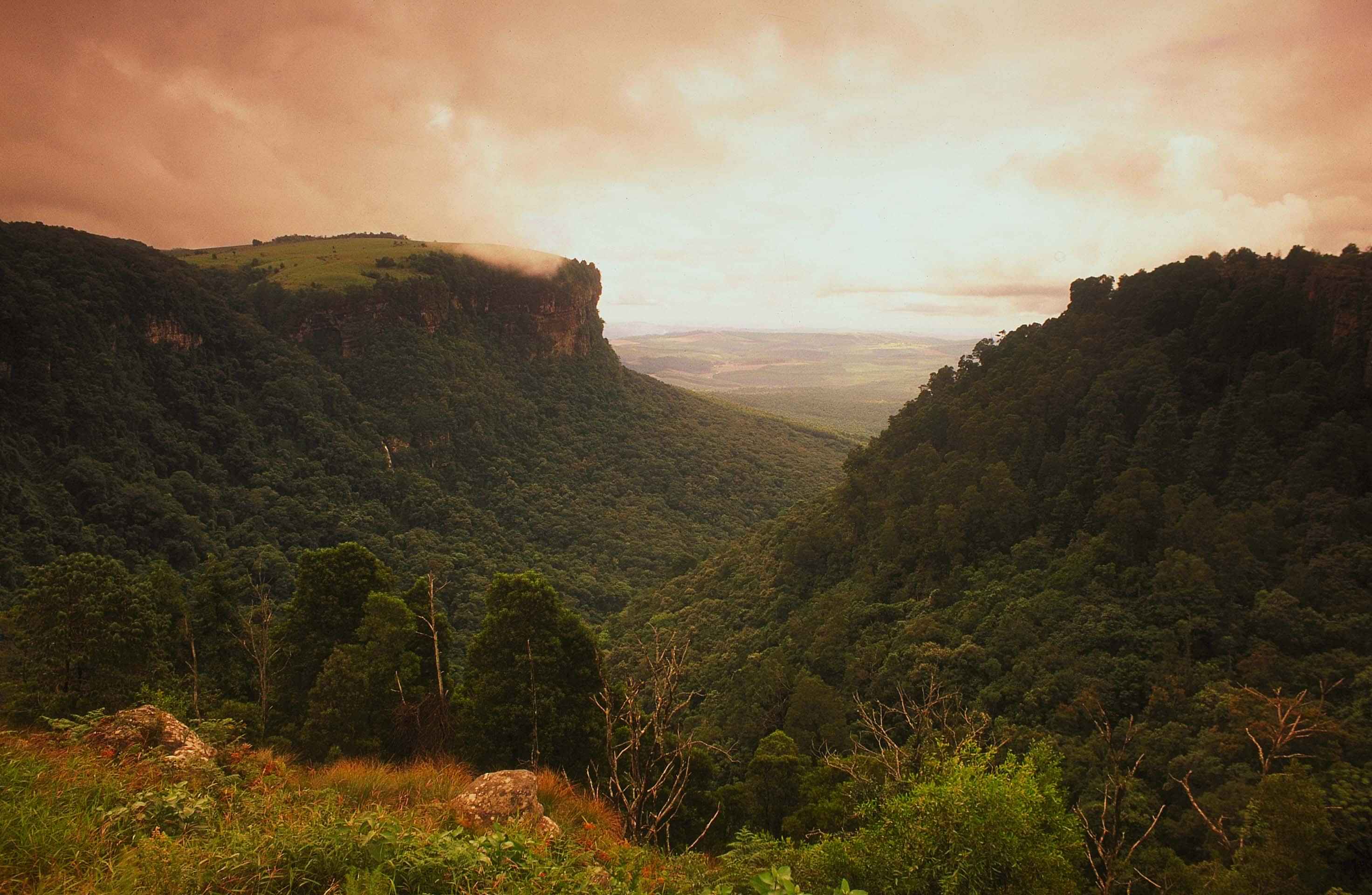 Drive through the Panorama route from Johannesburg to Kruger