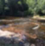 Phnom Kulen Waterfall & 1000 Lingas River Private Day Tour from Siem Reap
