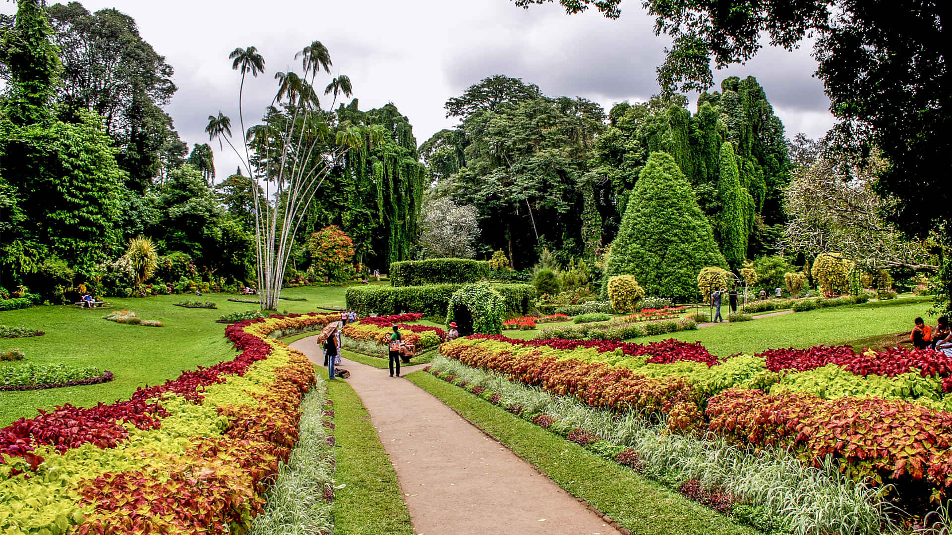 Peradeniya Botanical Gardens-  Entrance Fee 11 USD Per Person Pay Directly