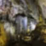 Phong Nha & Paradise Cave - 1 Day All Inclusive