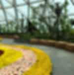 Jewel Changi Airport (Hedge Maze w Canopy Park)(Note: Child 3-12 yrs) with private transfers