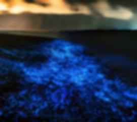 Magnificent 5 day Thailand itinerary for the Honeymoon travellers