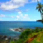 Full Day Port Blair City Tour