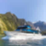 Gem of the Sound Cruise with Picnic Lunch