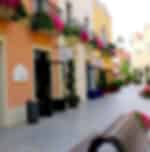 Exclusive Shopping Day Experience at La Roca Village
