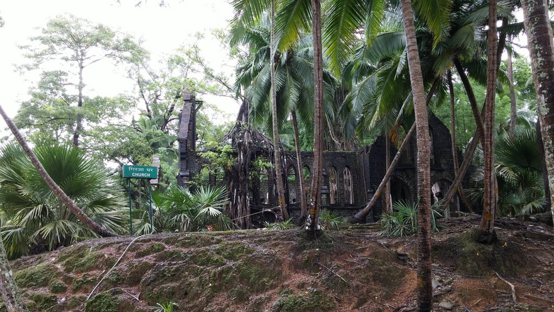 The perfect 4 day Andaman and Nicobar Islands Honeymoon itinerary to rejuvenate