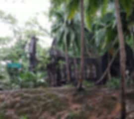 The perfect 4 day Andaman and Nicobar Islands Honeymoon itinerary to rejuvenate