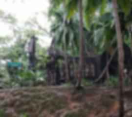 The perfect 4 day Andaman and Nicobar Islands Honeymoon itinerary to rejuvenate