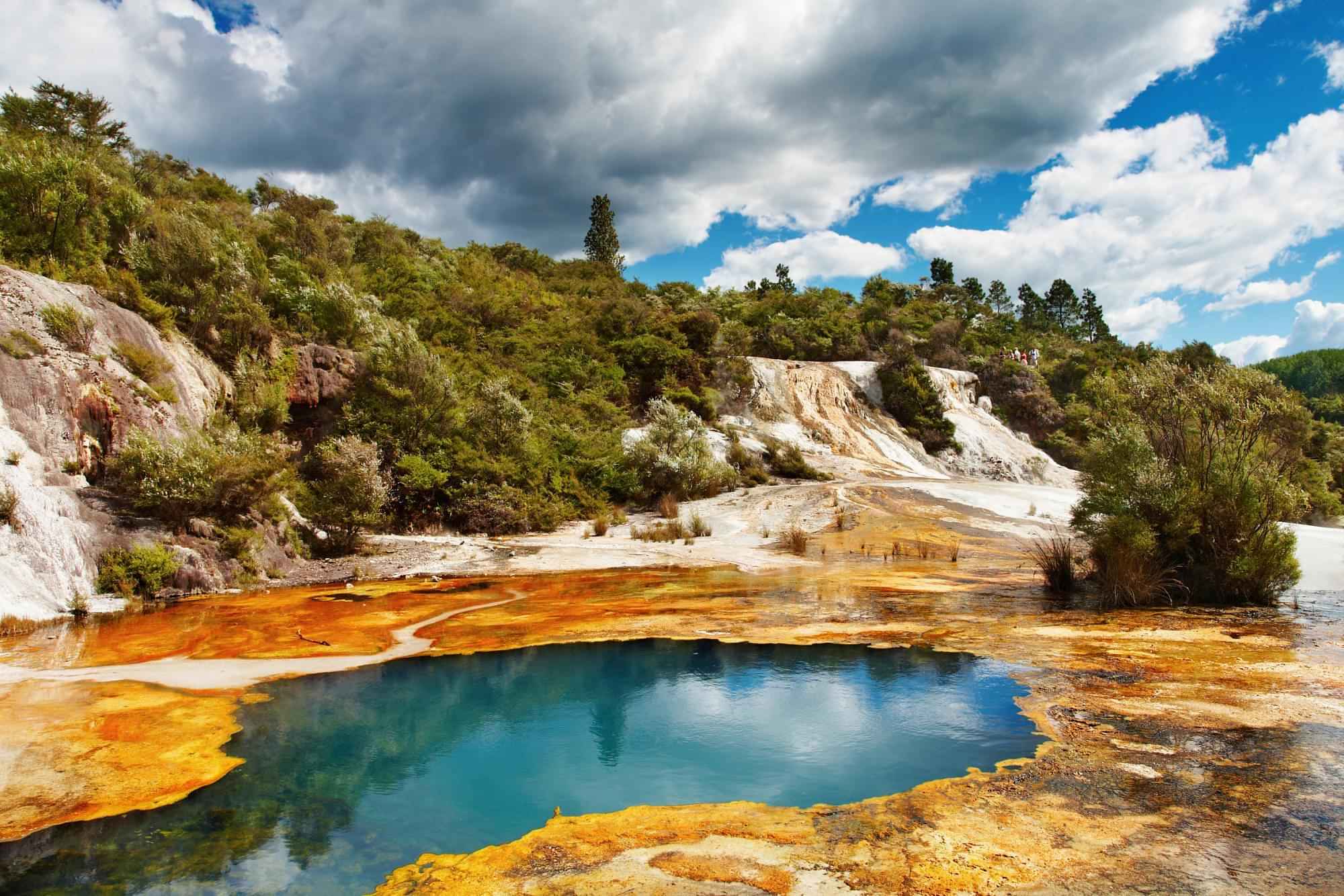 Rotorua Sights: Te Puia, Rainbow Springs and Agrodome