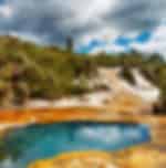 Rotorua Sights: Te Puia, Rainbow Springs and Agrodome