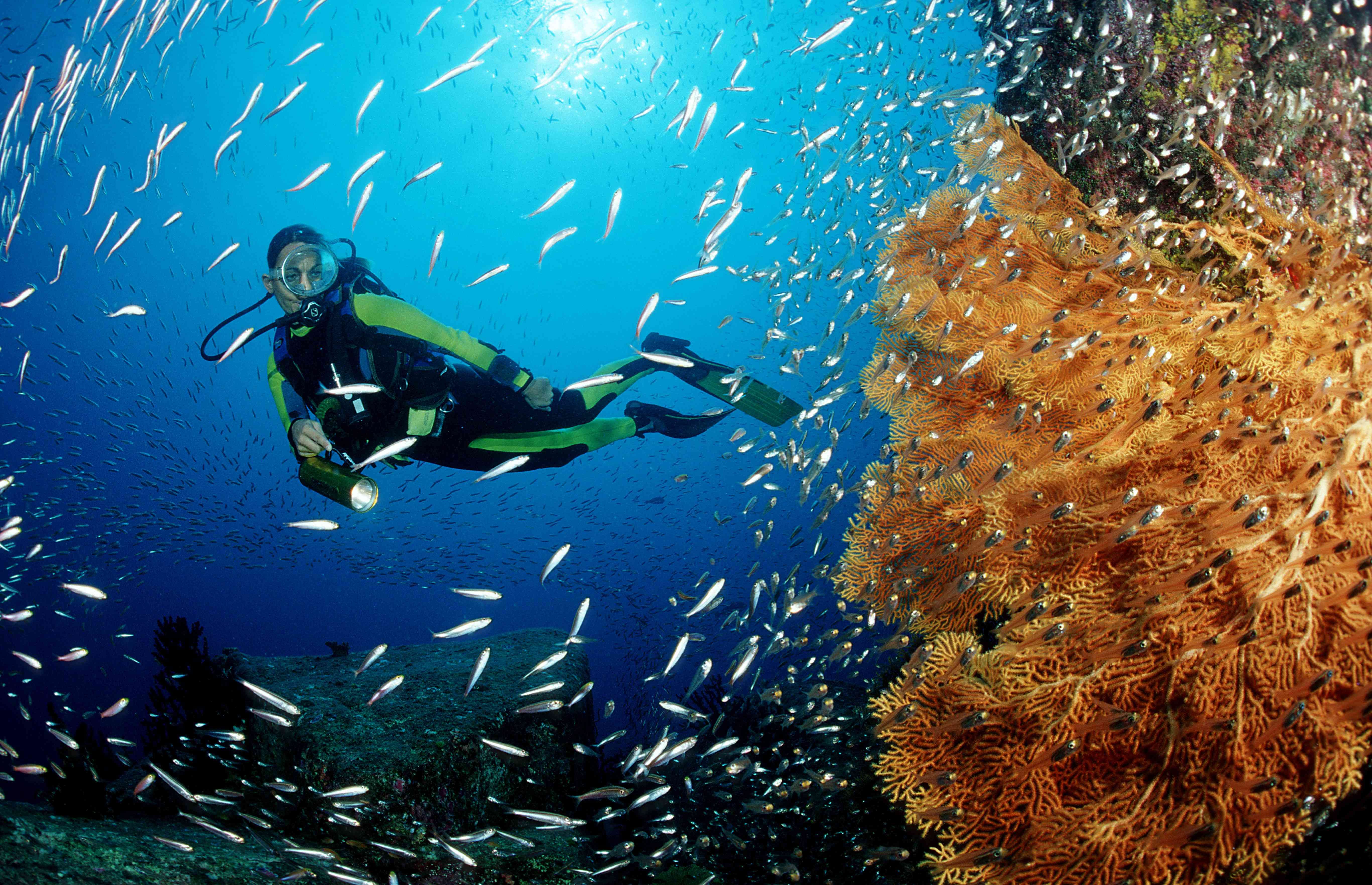 Scuba Diving 2x Dive at Nusa Dua with Shared transfers