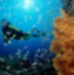 Scuba Diving 2x Dive at Nusa Dua with Shared transfers