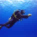 Scuba Diving from Bodrum