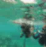 Scuba Diving Experience in Havelock Island