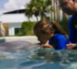 4 Days Sentosa Tour Package Including SEA Aquarium