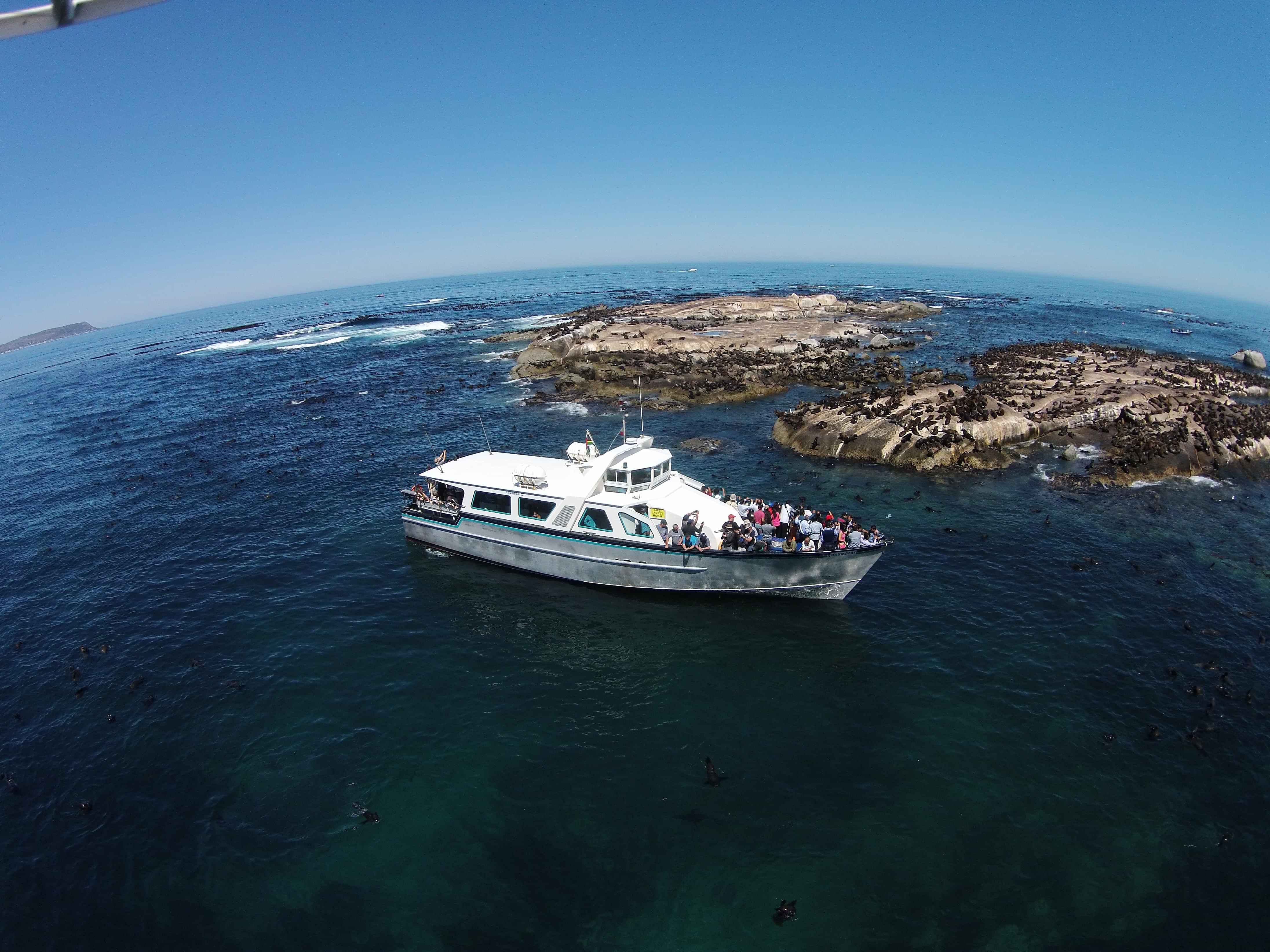 40 minute Seal Colony Cruise