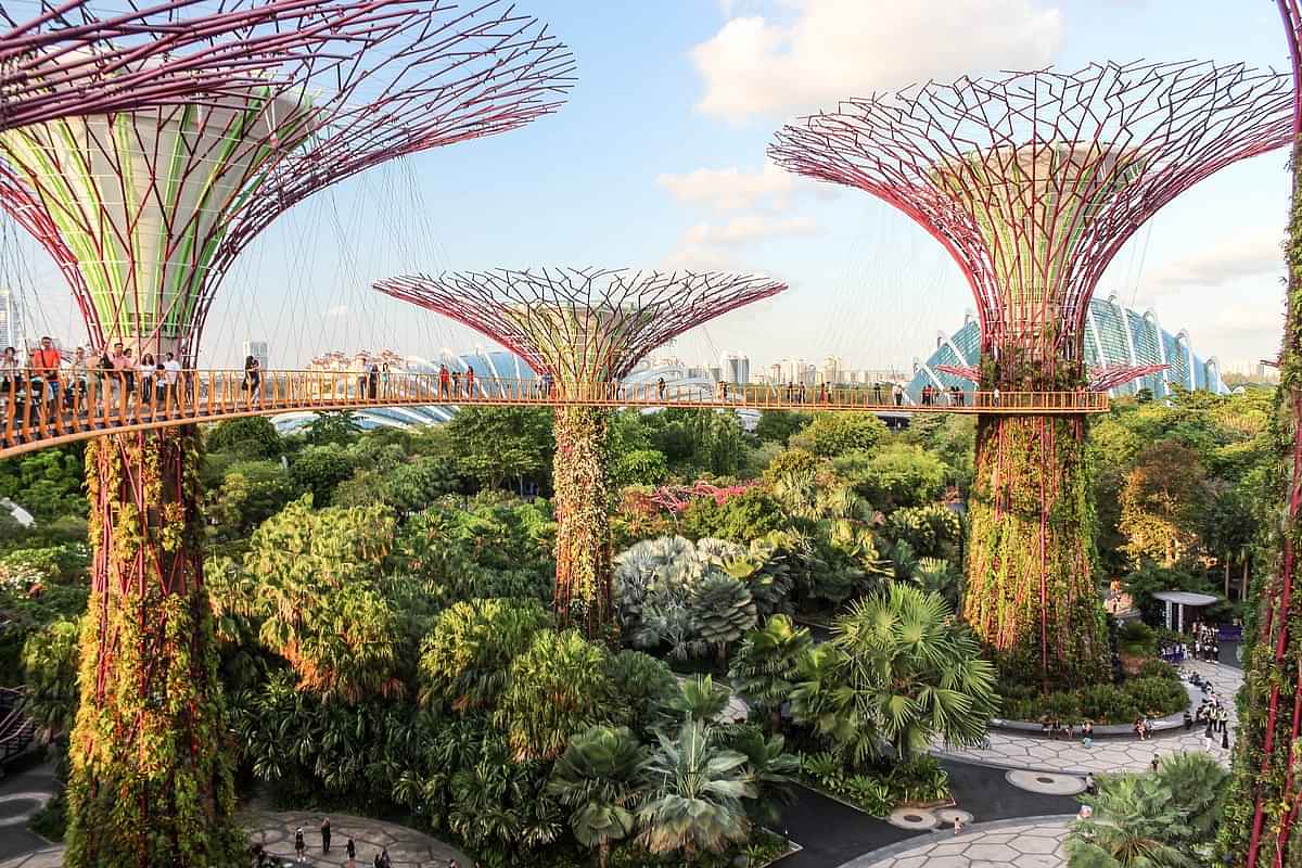 Gardens By The Bay with Cloud Forest + Super tree Observatory on Shared Transfers