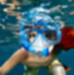 Snorkeling Adventure Trip